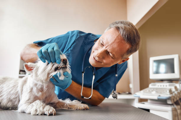 Best Emergency Tooth Extraction in Mebane, NC